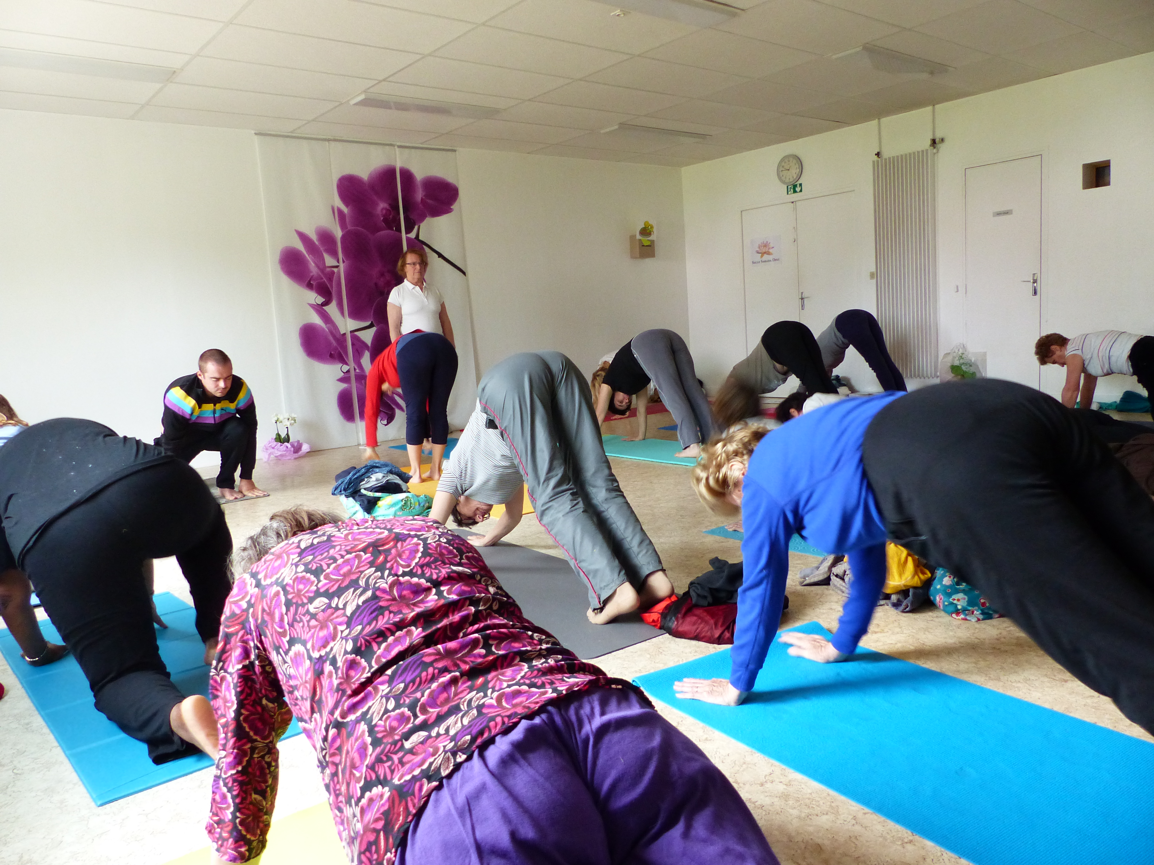 Cours de hatha yoga